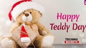 Teddy Days: Pictures, Images, Quotes, Tips to Celebrate Teddy Day