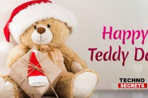 Teddy Days: Pictures, Images, Quotes, Tips to Celebrate Teddy Day