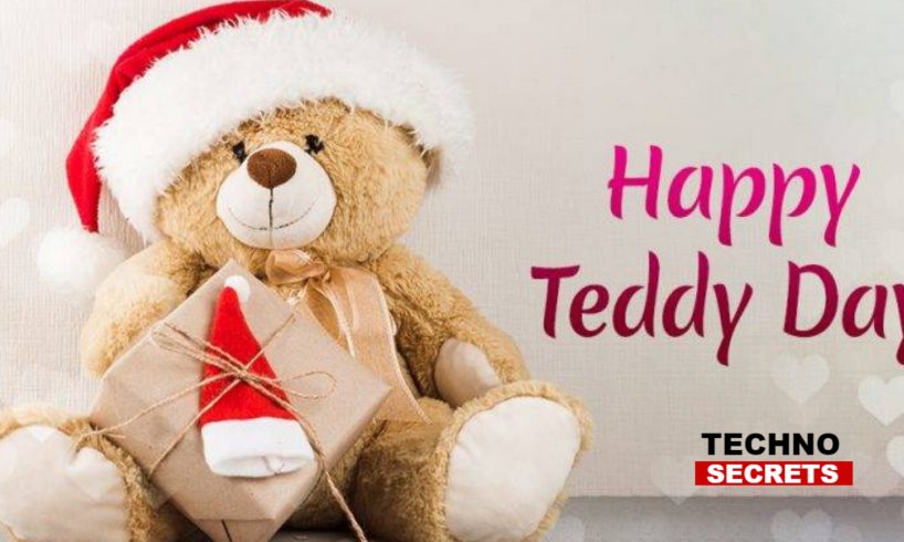 day after teddy day