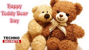 Teddy Days: Pictures, Images, Quotes, Tips to Celebrate Teddy Day